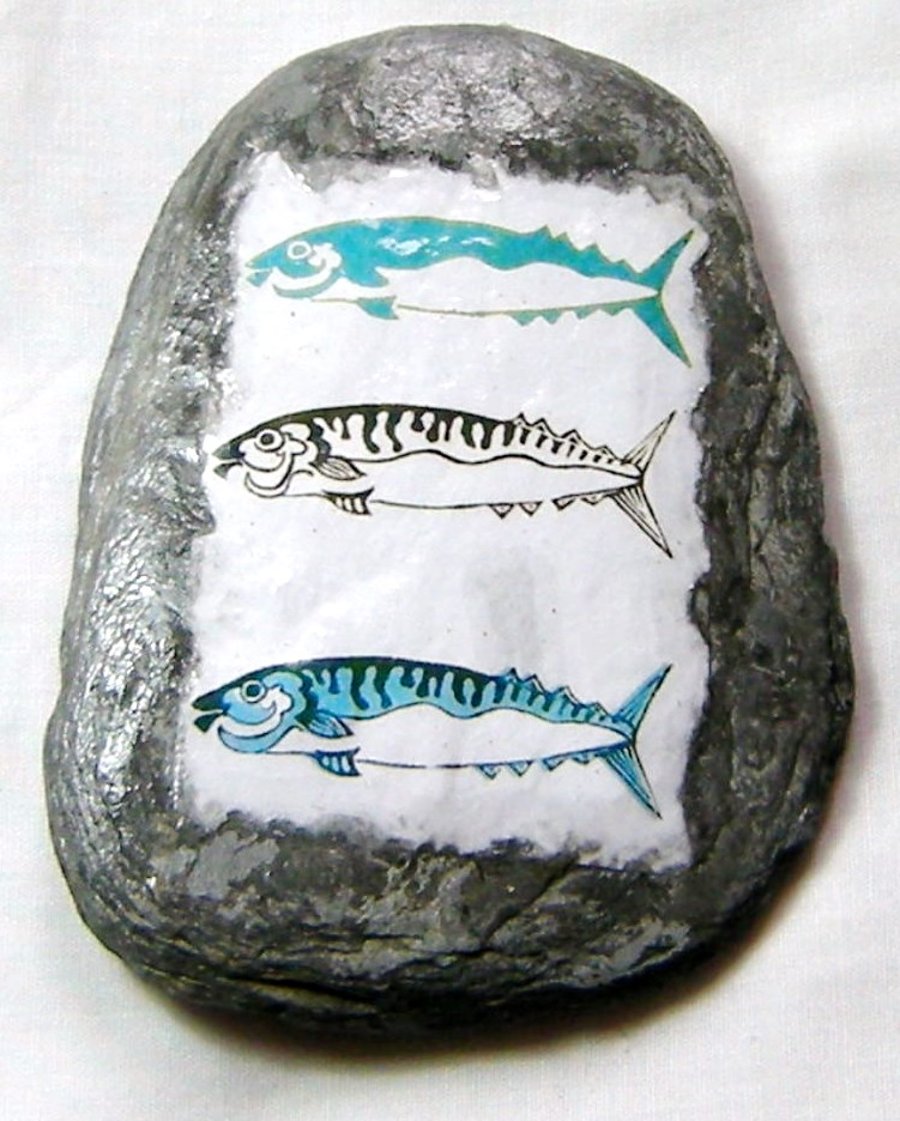 TRIO OF MACKEREL ...ON BEACH SLATE