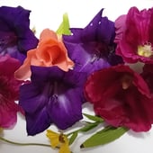 FLEURS