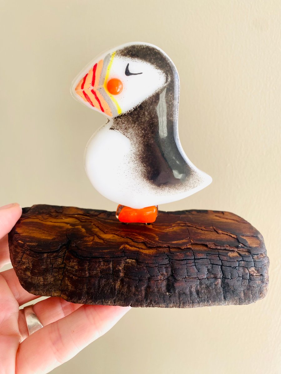 Handmade fused glass puffin on driftwood 