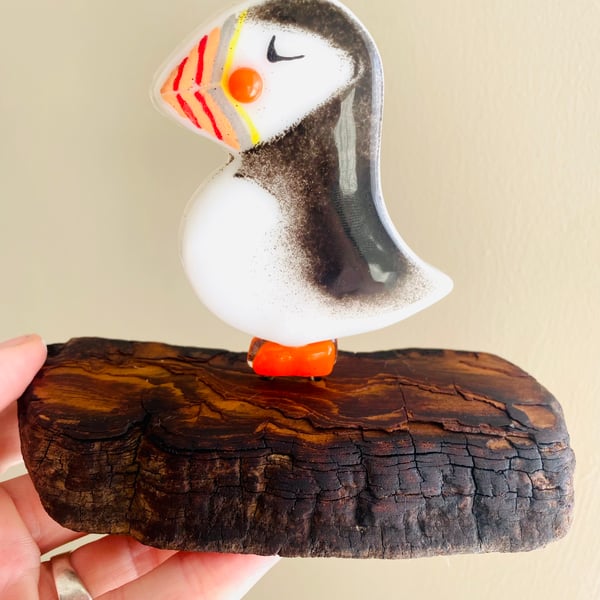 Handmade fused glass puffin on driftwood 