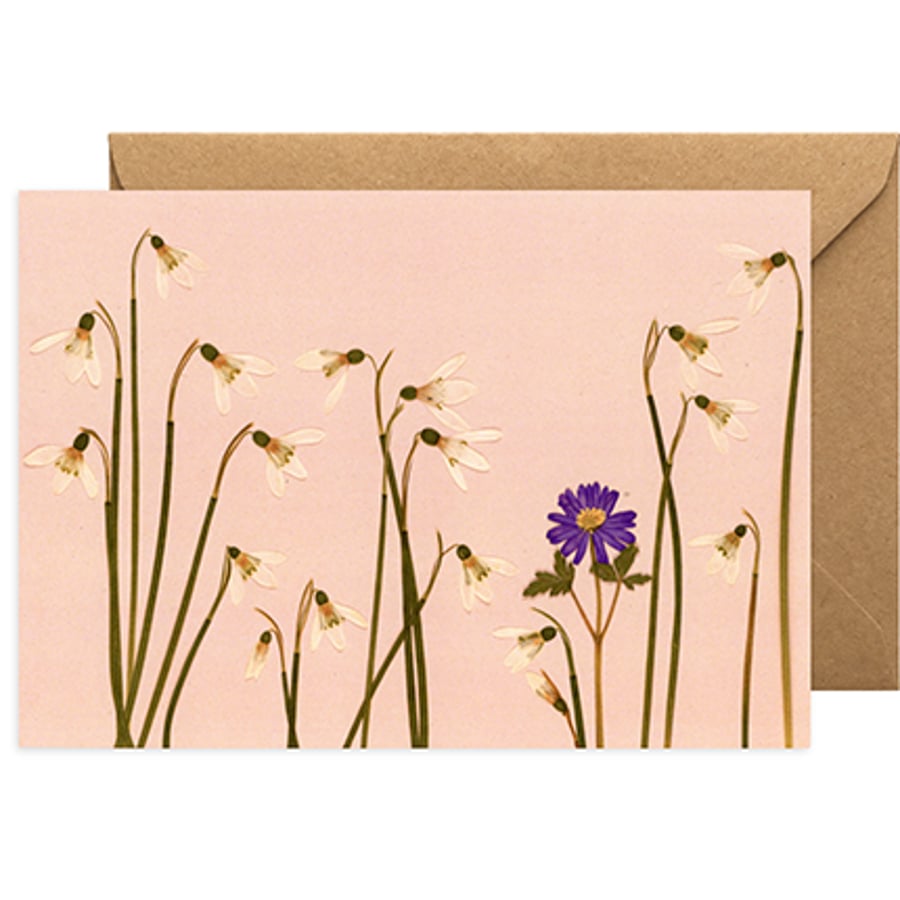 Any Occasion Pressed Flower Print Greeting Card - Snowdrops