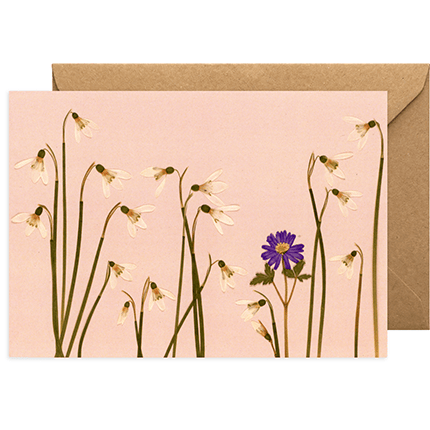 Any Occasion Pressed Flower Print Greeting Card - Snowdrops