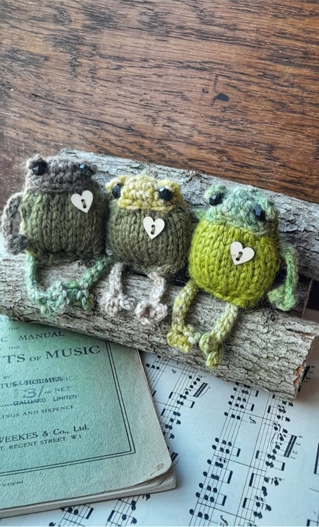 Handknitted Froglet Adopt a Mystery Frog Lucky Dip Pocket Companion