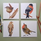 Dartmoor Winter Bird Card - Single card