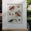 STOCK CLEARANCE Garden Birds Giclee Print