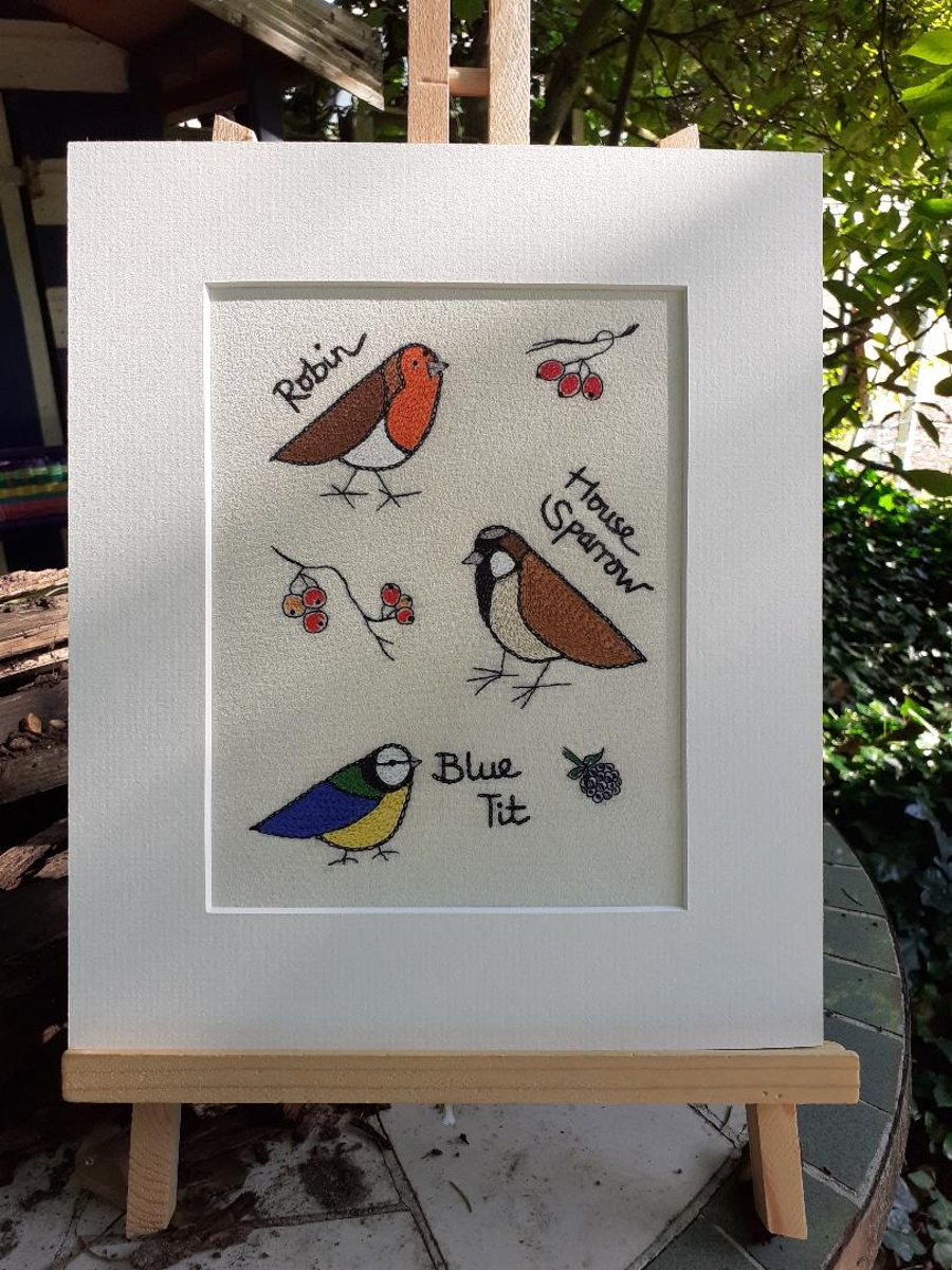 STOCK CLEARANCE Garden Birds Giclee Print