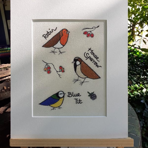 STOCK CLEARANCE Garden Birds Giclee Print