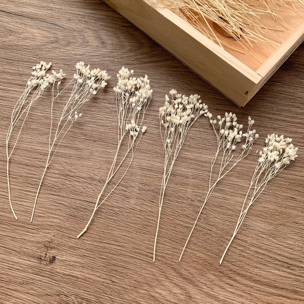 Dried White Flowers Brooms 20 pcs Preserved Long Flowers Wax Seal Flower For Wed