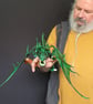 Greta the Green Dragon - Image 7