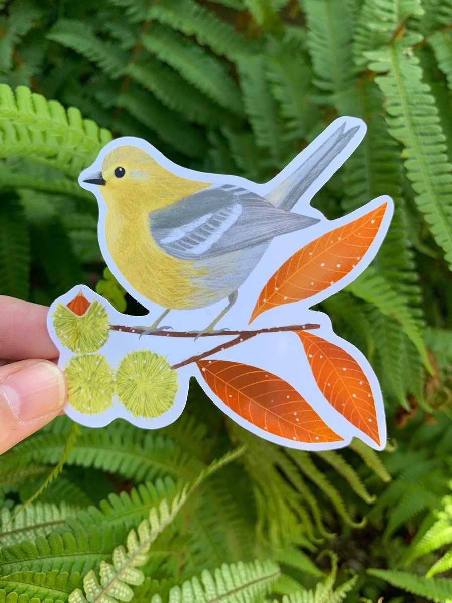 Pine Warbler Illustrated Bird Sticker