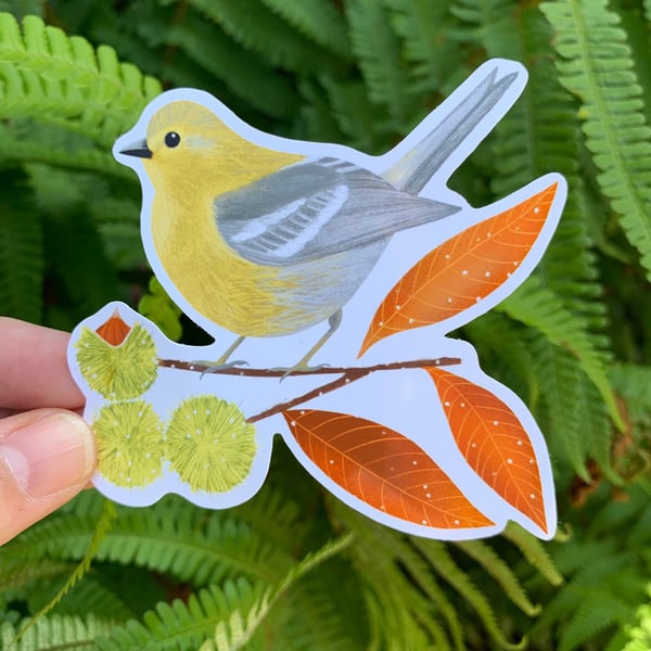 Pine Warbler Illustrated Bird Sticker