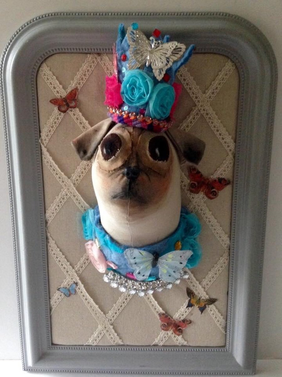 King of the pugs. Wall mounted pug faux taxidermy.