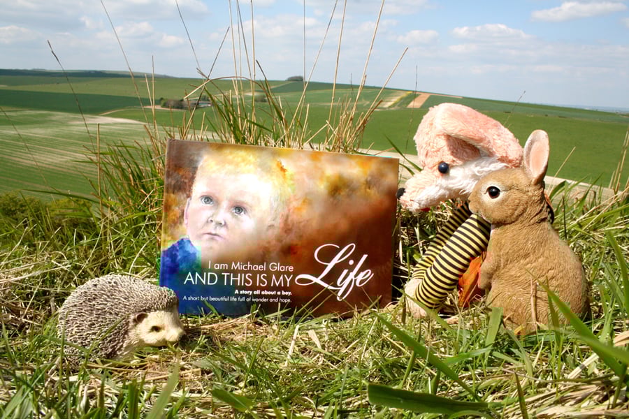 This is my Life: It's a story all about a Boy. Watercolour illustration book