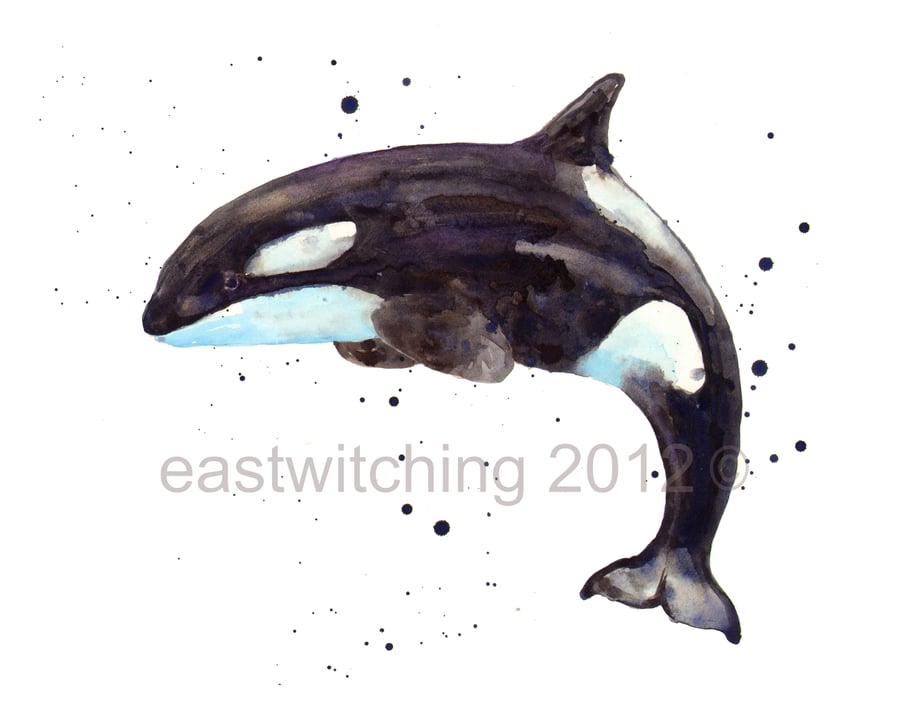 WHALE Art Print 8x10inch