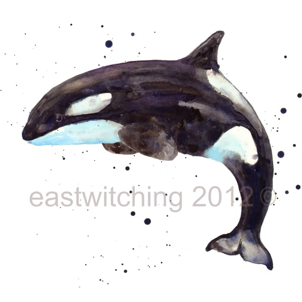 WHALE Art Print 8x10inch