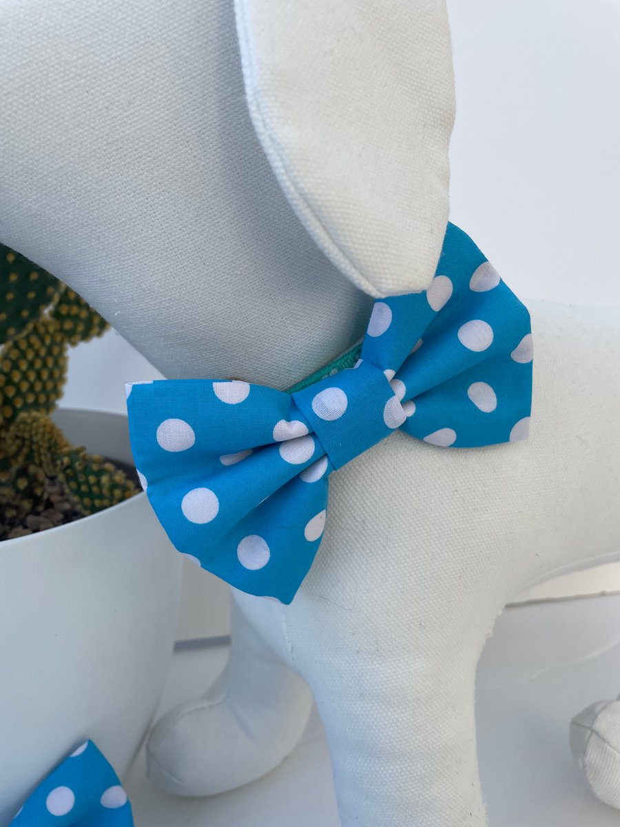 Turquoise & White Spot Dog Bow Tie 