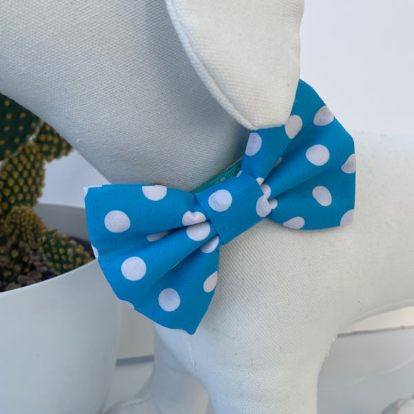 Turquoise & White Spot Dog Bow Tie 