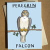 Bird of Prey Pun Greeting Card A6 - Birdwatching Pun Birthday Card