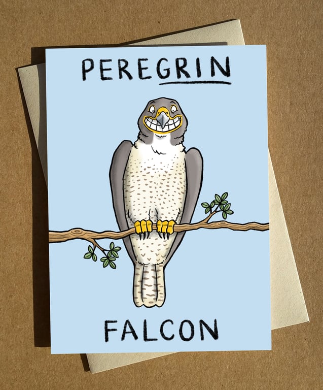 Bird of Prey Pun Greeting Card A6 - Birdwatching Pun Birthday Card