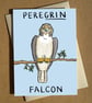 Bird of Prey Pun Greeting Card A6 - Birdwatching Pun Birthday Card