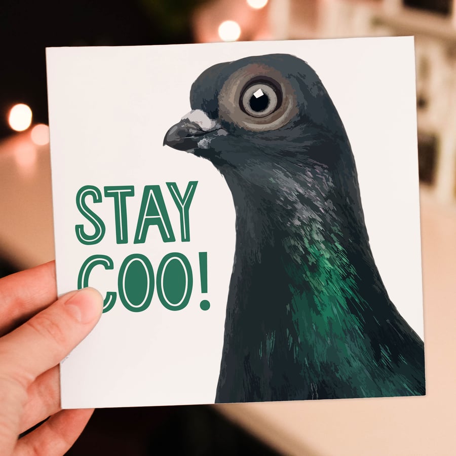 Pigeon birthday card: Stay coo!