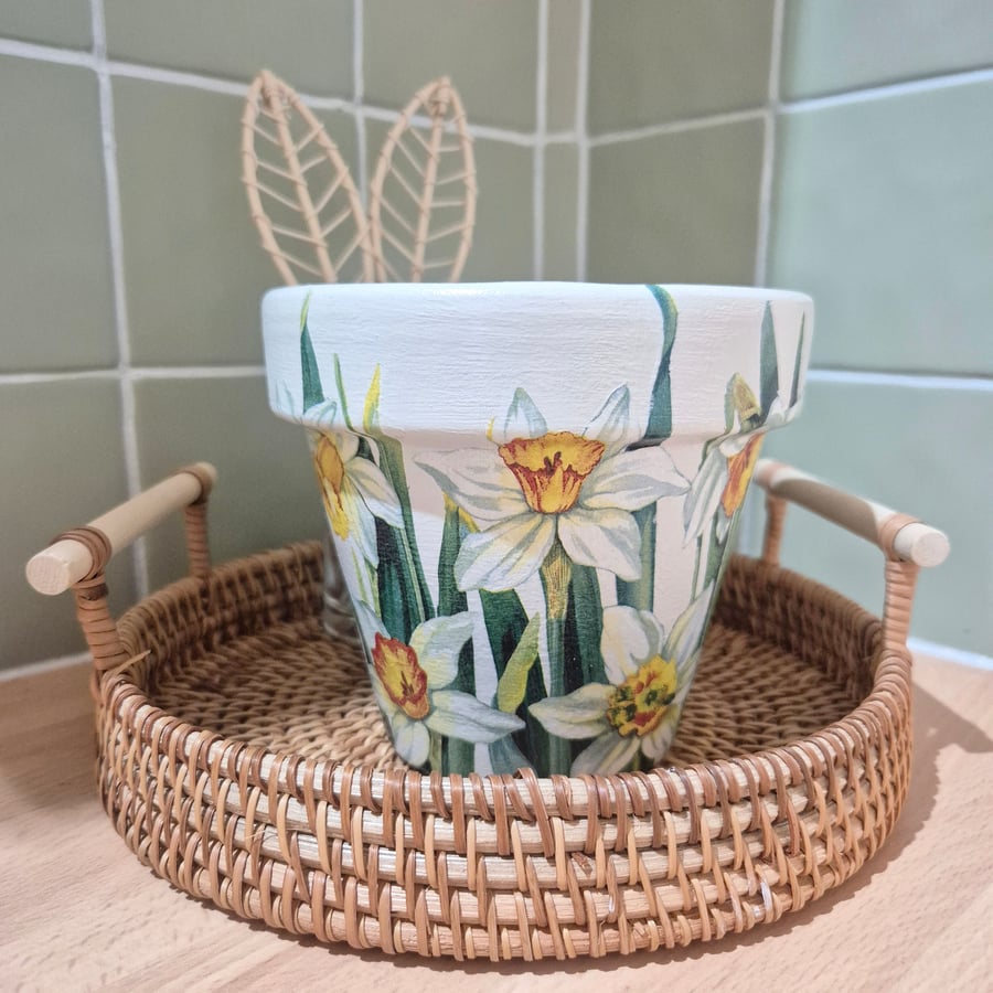 Spring Plant Pot, Daffodil Planter, Easter Gift, Mothers Day Gift, Gift for Nan