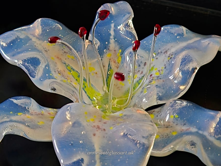 Handmade Fused Glass Oplaline White Pink and Yellow Lily with Wall-mount