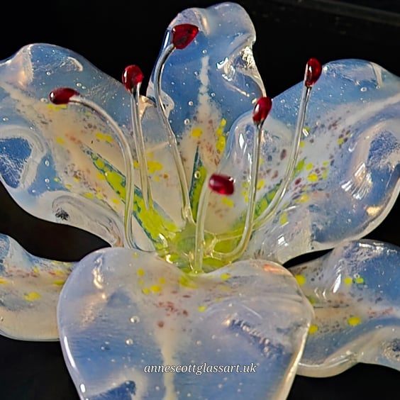 Handmade Fused Glass Oplaline White Pink and Yellow Lily with Wall-mount
