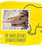 Rhino; framed image, mounted and printed on card and photographic paper - Image 2