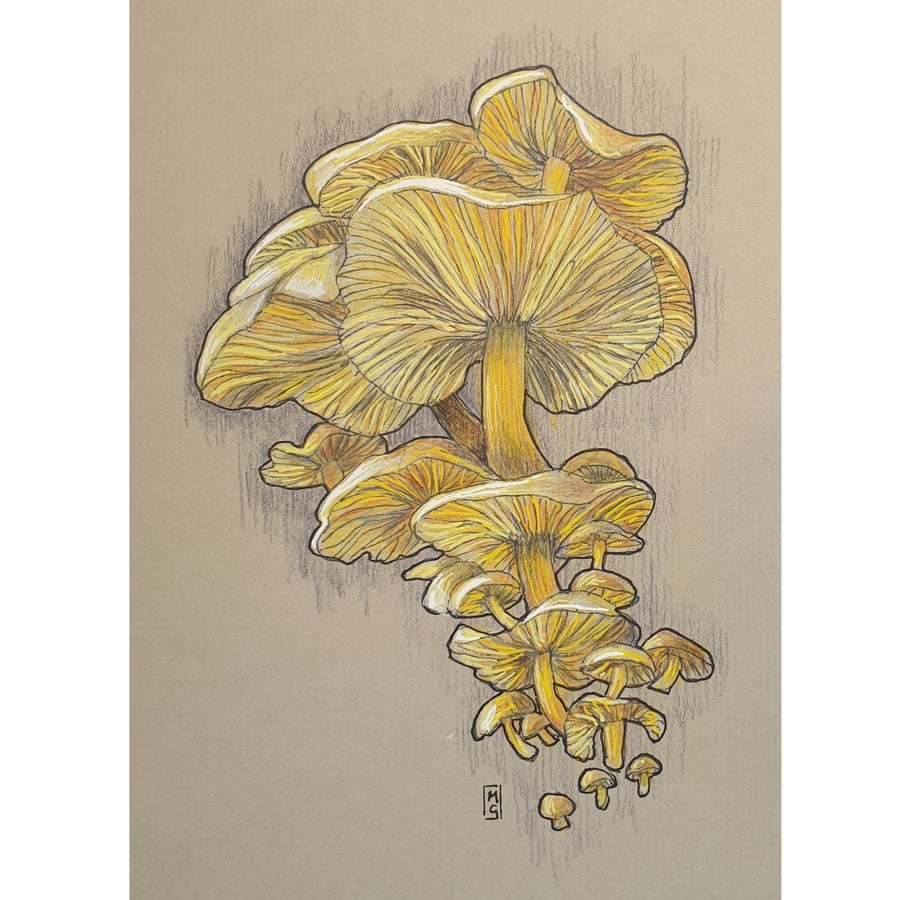Yellow Mushroom Cluster artwork - Original drawing, fungi wall art