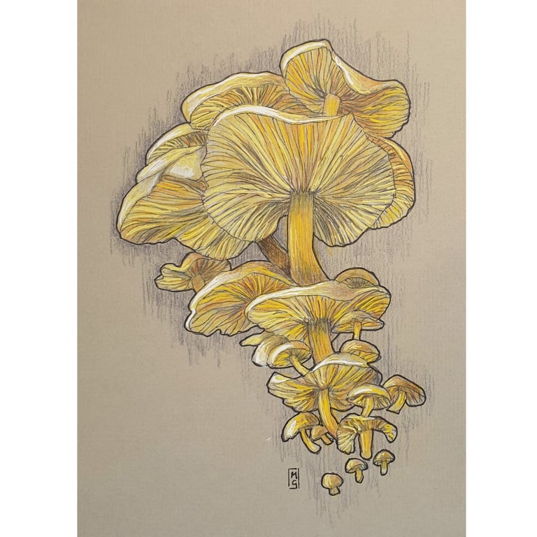 Yellow Mushroom Cluster artwork - Original drawing, fungi wall art