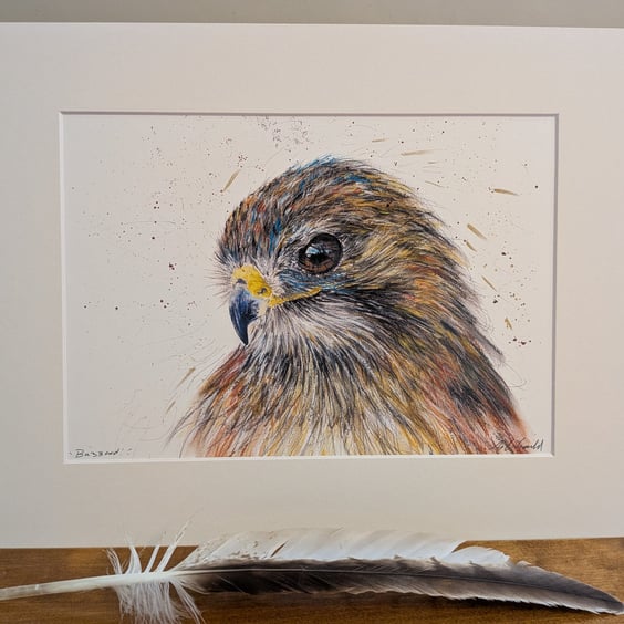 An A3 or A4 print of an original drawing of a Buzzard