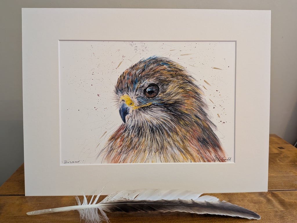 An A3 or A4 print of an original drawing of a Buzzard