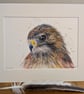 An A3 or A4 print of an original drawing of a Buzzard
