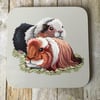 Guinea Pigs Square Coaster