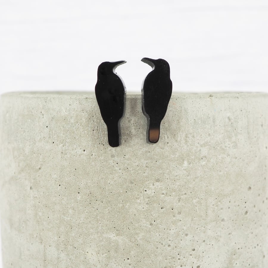 Titanium posts, Glossy black crow studs