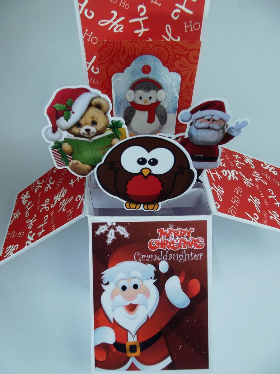 Granddaughter Christmas Card