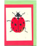 Ladybird - Image 1