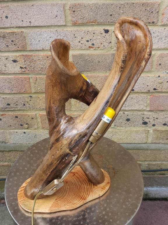 Sculptural driftwood statement lamp