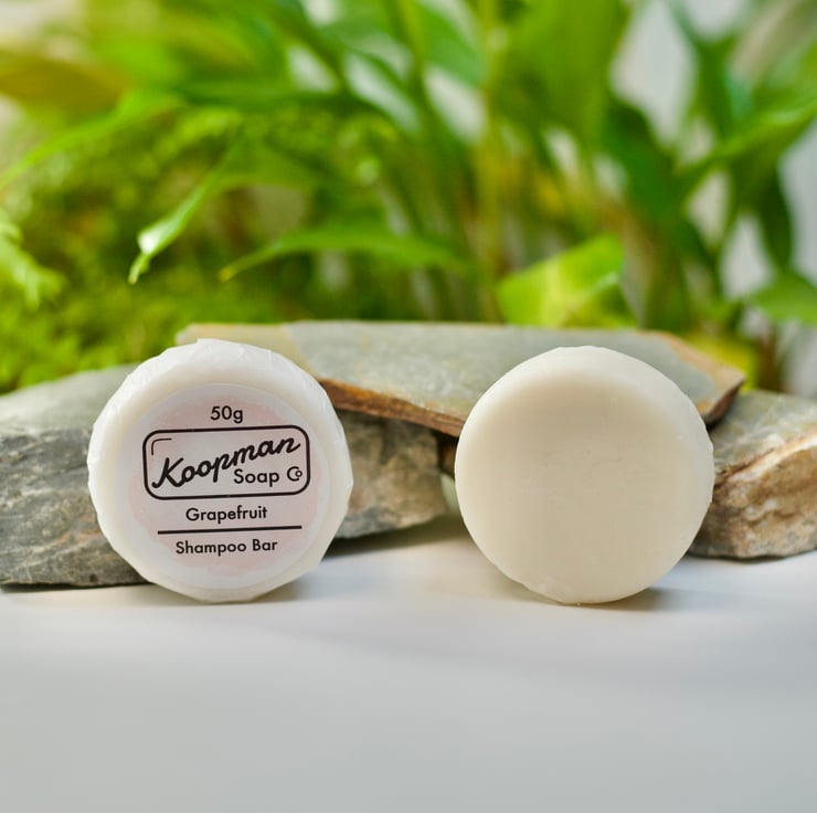 The Sustainable Home