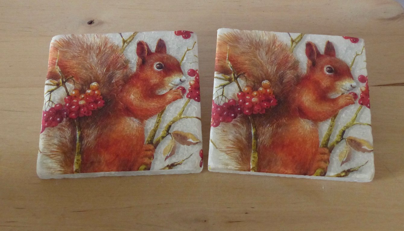 Marble 'Red Squirrel' Coasters