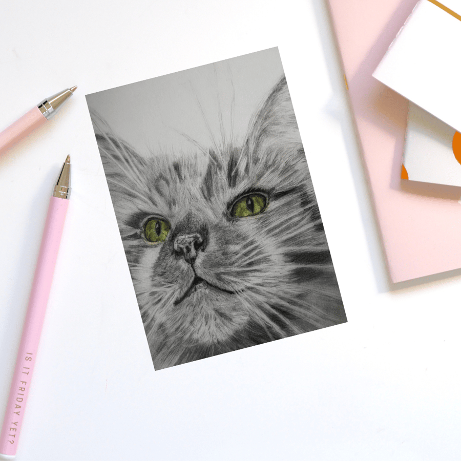 Birthday card, fluffy cat, blank card, greeting card, cat lovers card