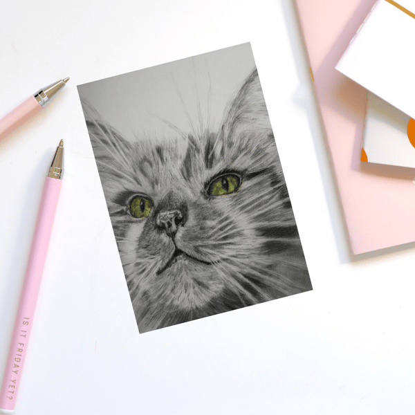 Birthday card, fluffy cat, blank card, greeting card, cat lovers card