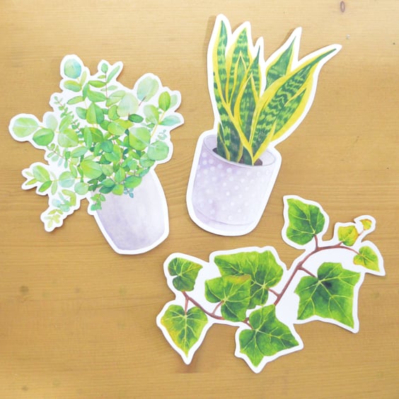 Plant Mom Houseplant Botanical Stickers