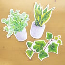Plant Mom Houseplant Botanical Stickers