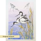 Avocet at the Water's Edge, original bird illustration, nature artwork