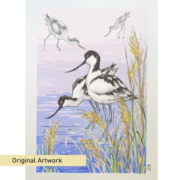 Avocet at the Water's Edge, original bird illustration, nature artwork