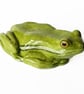 Frog Ceramic Ornament - Handmade - Image 4