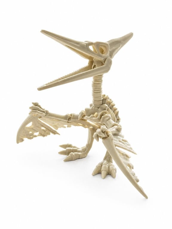 Flexible Skeleton Pteranodon Fidget Toy 3D Printed Articulated Flying Dinosaur 