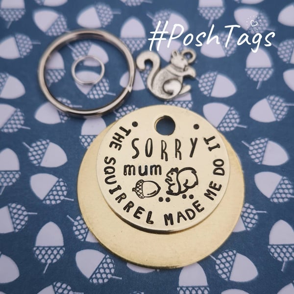Sorry mum, the squirrel made me do it! 3 sizes - cat dog pet tag ID PoshTags Col
